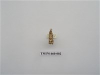 藏品(尺蠖蛾科)的圖片